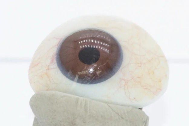 假眼